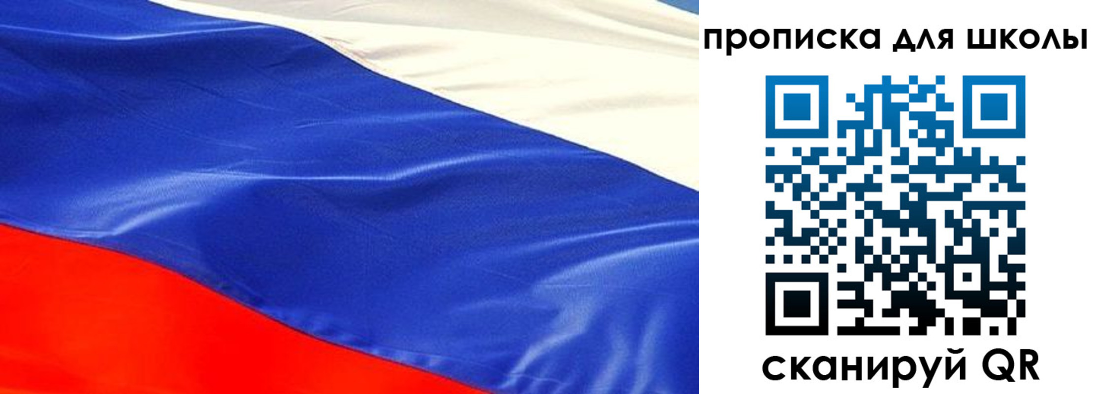 прописка гарантия в Светлом